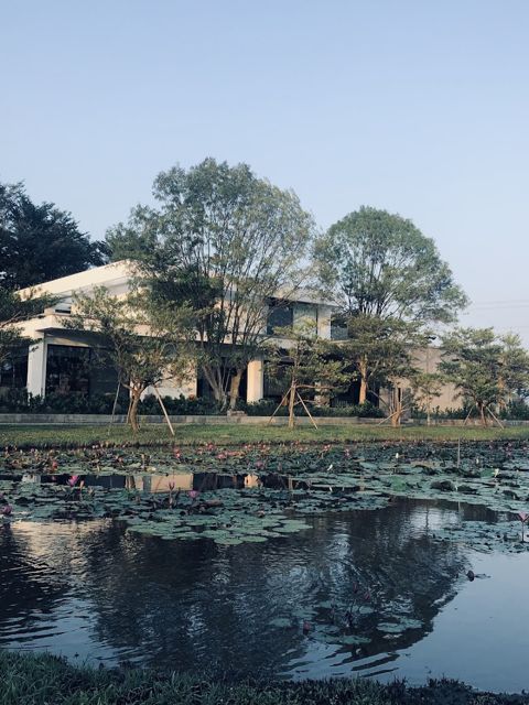 瀰力村男美術館