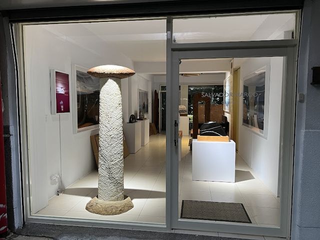 SALVADOR MARCO Gallery