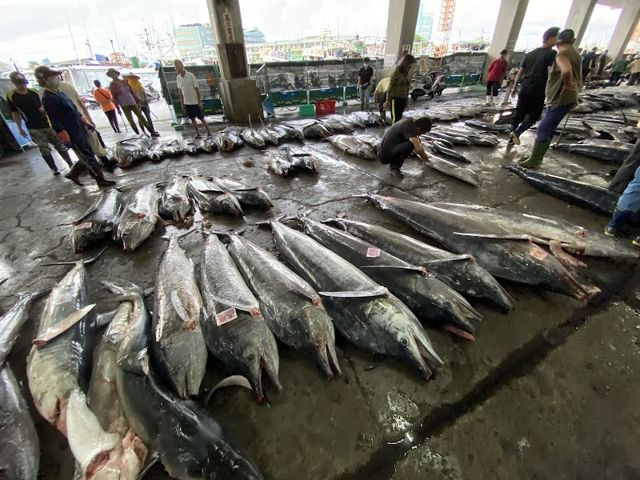 東港漁貨拍賣場