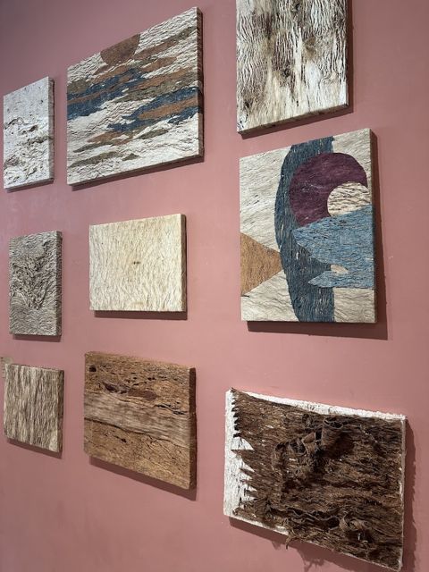 玩藝樹Bark Art 樹皮體驗村/手作體驗