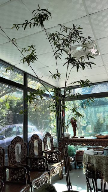 三樂草堂