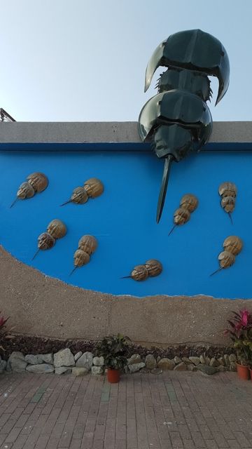 金門縣水族教育展示館