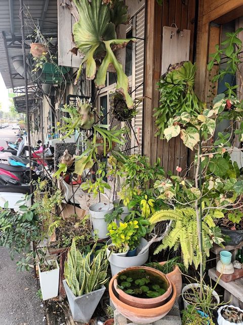 藝術田。藝術人文工作室