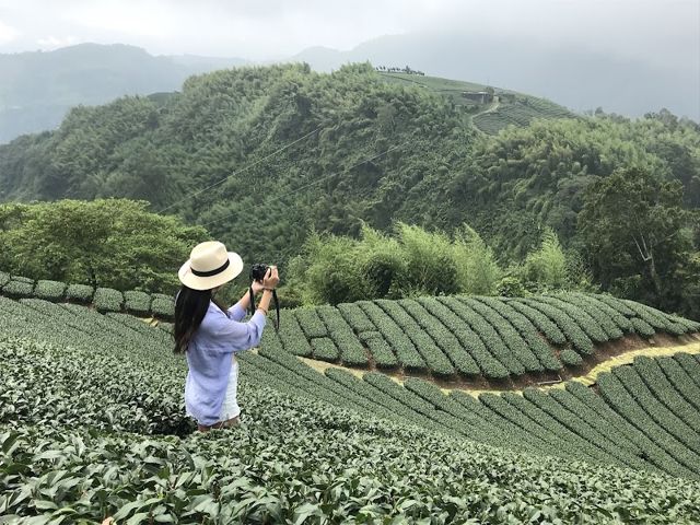 永鑫茶業(瑞茗祥茶體驗)