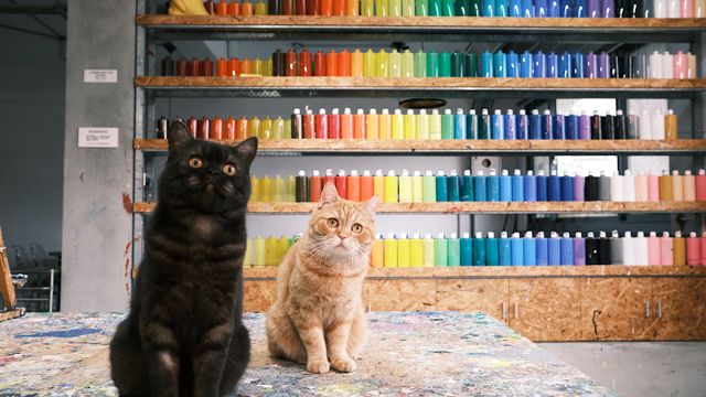 CMYK GALLERY