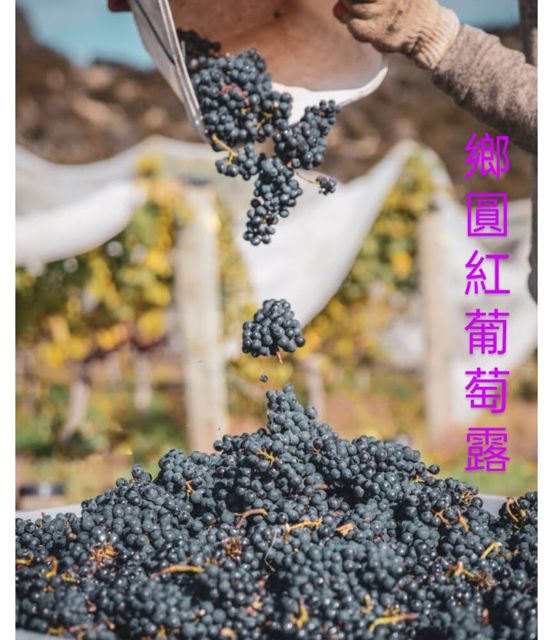 鄉圓 五年以上 紅葡萄露